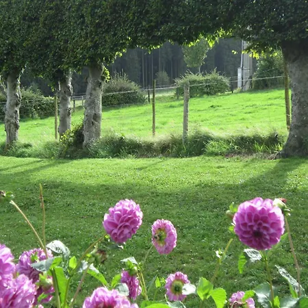 In With Terrace 펜션